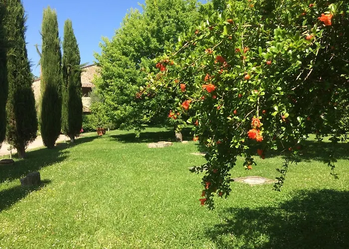 Relais Della Rovere Hotel Colle di Val d'Elsa